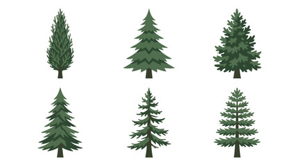 Collection of green coniferous trees © Ditz
