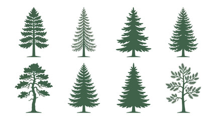 Green pine tree silhouette collection © MBG