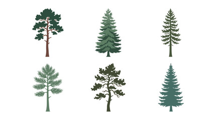 Obraz premium Collection of pine trees vector illustrations