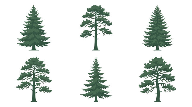 Collection of green pine tree illustrations