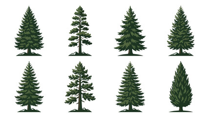 Obraz premium Conifer tree collection isolated vector illustration