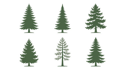 Obraz premium Group of evergreen tree silhouettes