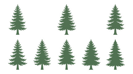 Obraz premium Group of evergreen trees
