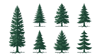 Obraz premium Coniferous trees collection