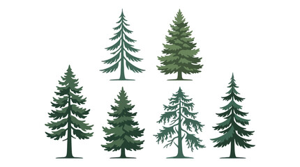Obraz premium Group of evergreen trees collection