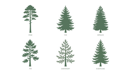 Obraz premium Coniferous tree silhouettes collection