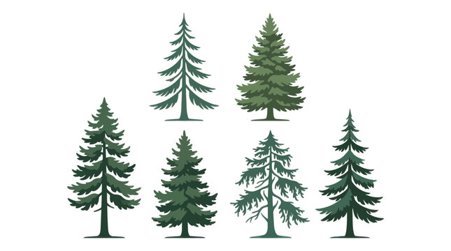 Group of evergreen trees collection