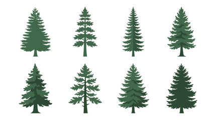 Obraz premium Evergreen tree collection flat illustration