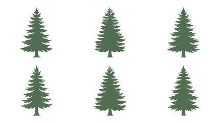 Fototapeta premium Group of evergreen trees silhouette