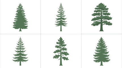 Obraz premium Evergreen tree illustrations collection
