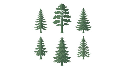 Obraz premium Forest tree collection vector illustration