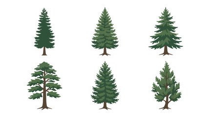 Obraz premium Green conifer tree collection vector