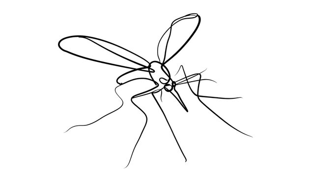 Minimalist mosquito line art on white background.