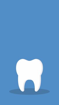 healthy tooth , 4k video animation	