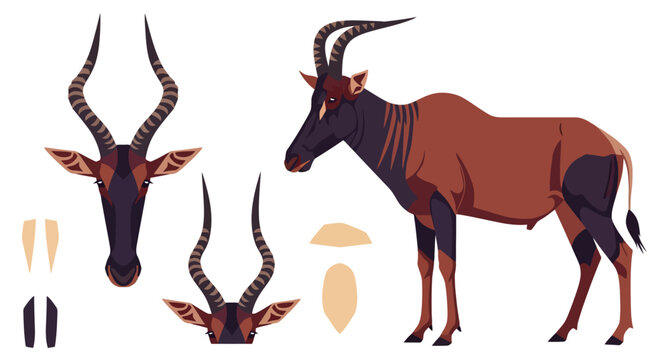 Detailed illustration of a topi antelope with full body and head views, showcasing its distinctive features and ridged horns on a white background.