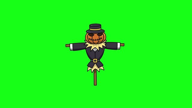 Spooky Halloween pumpkin scarecrow character animation isolated on green screen