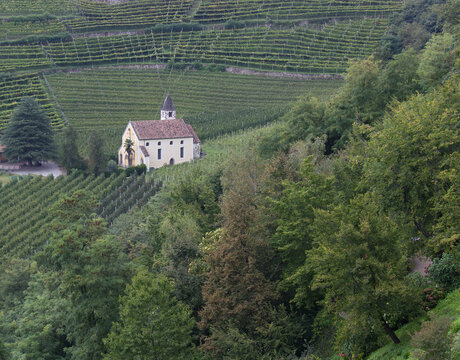 Idyllische St. Valentin Kirche inmitten von gr&uuml;nen terrassierten Weinbergen in Meran S&uuml;dtirol