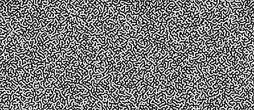 Black and white high density turing seamless pattern. Abstract micro brain line texture backdrop with bacteria reaction diffusion for bg textile.