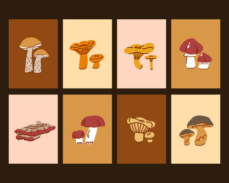 Forest Mushroom Collection in Decorative Grid, Hand Drawn Botanical Illustration with Edible Wild Mushroom Species in Warm Autumn Colors