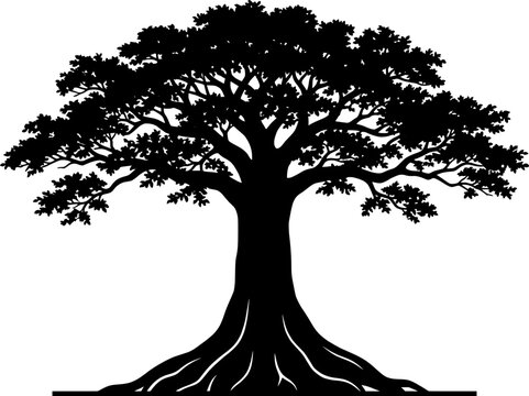 Giant Sumauma tree silhouette vector illustration with buttress roots, transparent background