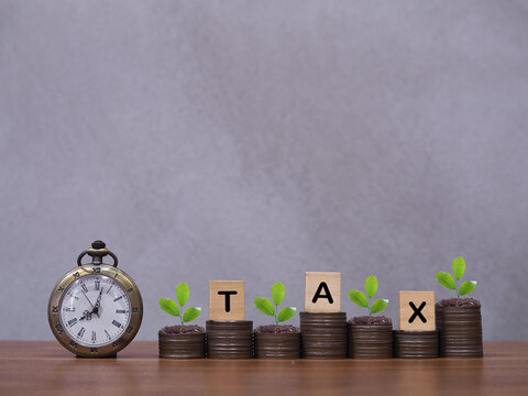 Vintage watch, Wooden blocks with the word TAX and plants growing up on stack of coins. The concept about saving money and manage time to paying tax in the future