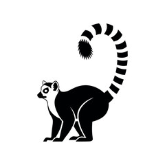 Black and white ringtailed lemur silhouette. © Shena