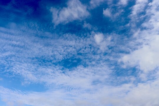 The swirling white clouds in the blue sky.
