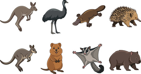 Obraz premium Australian Native Animals Collection with Kangaroo Emu Platypus Echidna and Wombat Vector Set