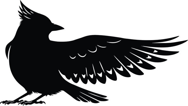 Black silhouette of bird with one wing spread and feathers on white background  large black bird silhouette with spread wing and feathers