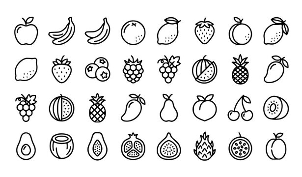 Minimal Fruit Line Icons Collection Featuring Apple Mango Pear Pineapple Grapes and Exotic Healthy Food Symbols