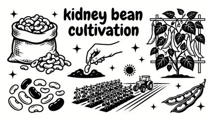 healthy kidney bean plants growing across fertile farmland with agricultural fields harvesting season rural scenery and sustainable crop production environment © Ethan