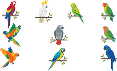 Tropical Parrot Bird Collection Vector Set with Colorful Exotic Macaw, Cockatoo, Parakeet and Lovebird Wildlife Illustration Pack © Minara