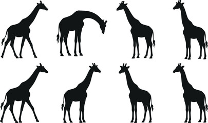 Giraffe silhouette vector collection with african safari wild animals in various poses on isolated transparent background © fajle Rabbi!