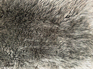 Close up of rug or carpet fur and feather texture in monochrome black, grey, and white color. Seamless background texture. © TMR Studio