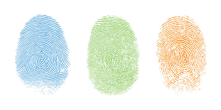 Three colorful human fingerprint impressions in blue green and orange for identity security vector illustration.