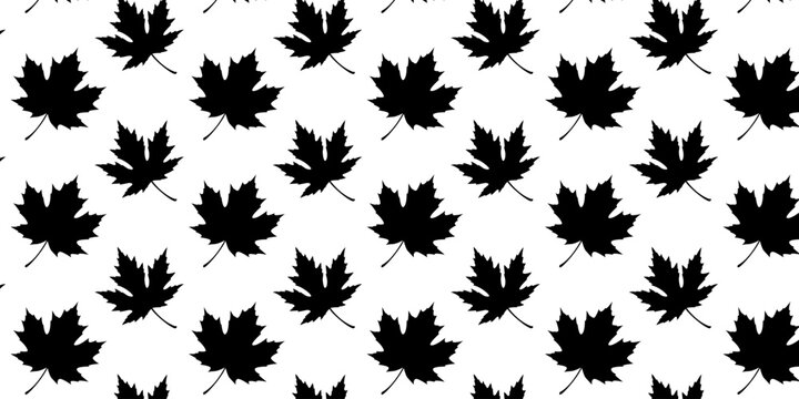 Seamless Pattern Autumn Black Maple Leaf Collection