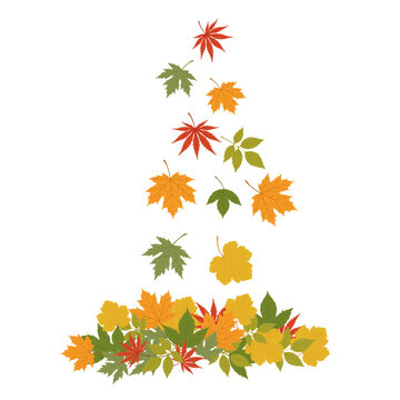 Flying Autumn Maple Leaves Collection