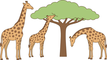 Giraffe family vector illustration with safari animals eating leaves from tree isolated on transparent background grid © Honey Qween!
