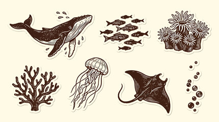 Hand Drawn illustration of a whale, school of fish, coral reef, jellyfish, and stingray in ocean © Crushin