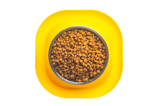 Top view of Dog and Cat food bowl with kibbles.