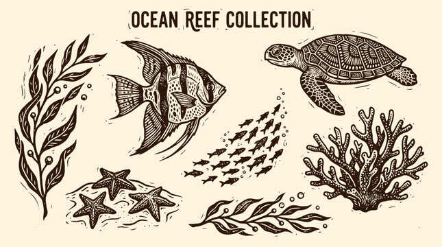 Hand Drawn Ocean Reef Collection Features Colorful Fish Sea Turtle and Coral
