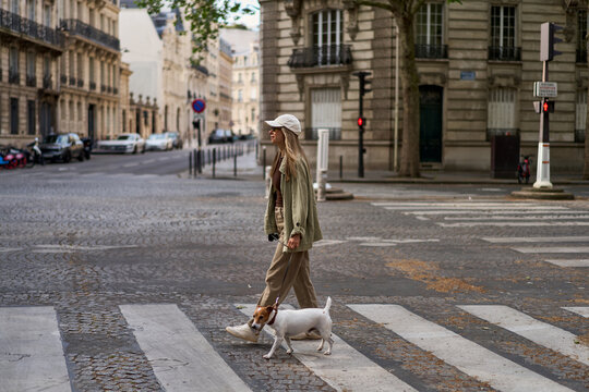 Woman Walking Small Dog Across City Crosswalk