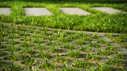 Fototapeta premium Eco-friendly interlocking permeable paver path creating green outdoor landscaping with fresh lawn grass