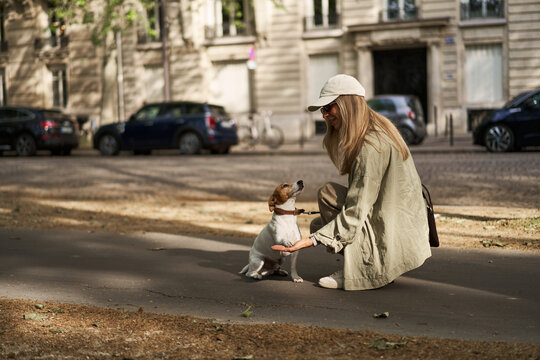 Young Woman Kneeling On City Street Teaching Small Dog A Paw Trick