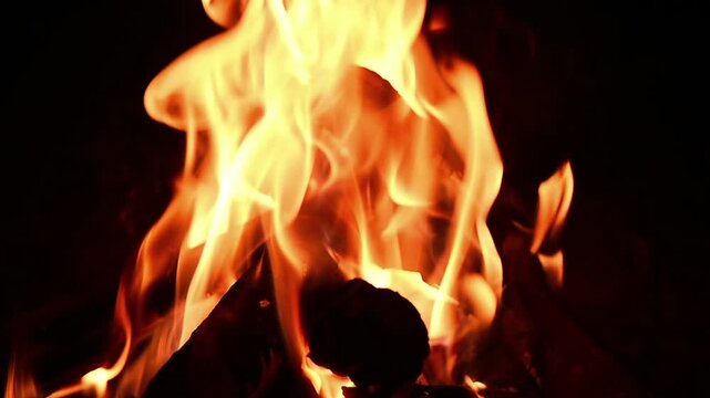 Campfire at night, burning fire.