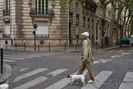 Woman Walking Small Dog Across City Crosswalk
