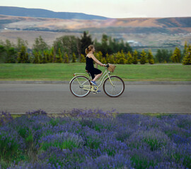 Fototapeta premium unrecognizable blur young adult lady woman rides on vintage retro bicycle female bike through lavender fields in provence park Summer Spring Season Young woman riding on bicycle in lavandula meadow