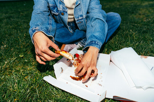 Pizza Picnic on Grass