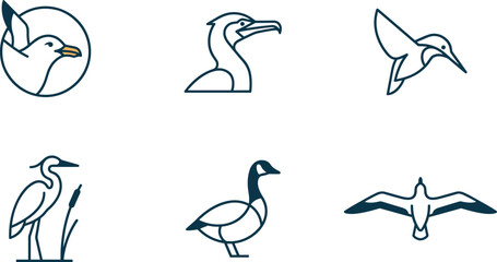 Fototapeta premium Minimalist Water Bird Line Art Logo Set Featuring Seagull Pelican Hummingbird Heron Goose and Albatross Wild Nature Icons for Branding Designs