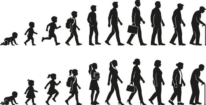 Human aging process silhouette vector set showing lifecycle stages of man and woman from baby child to elderly isolated on white background
